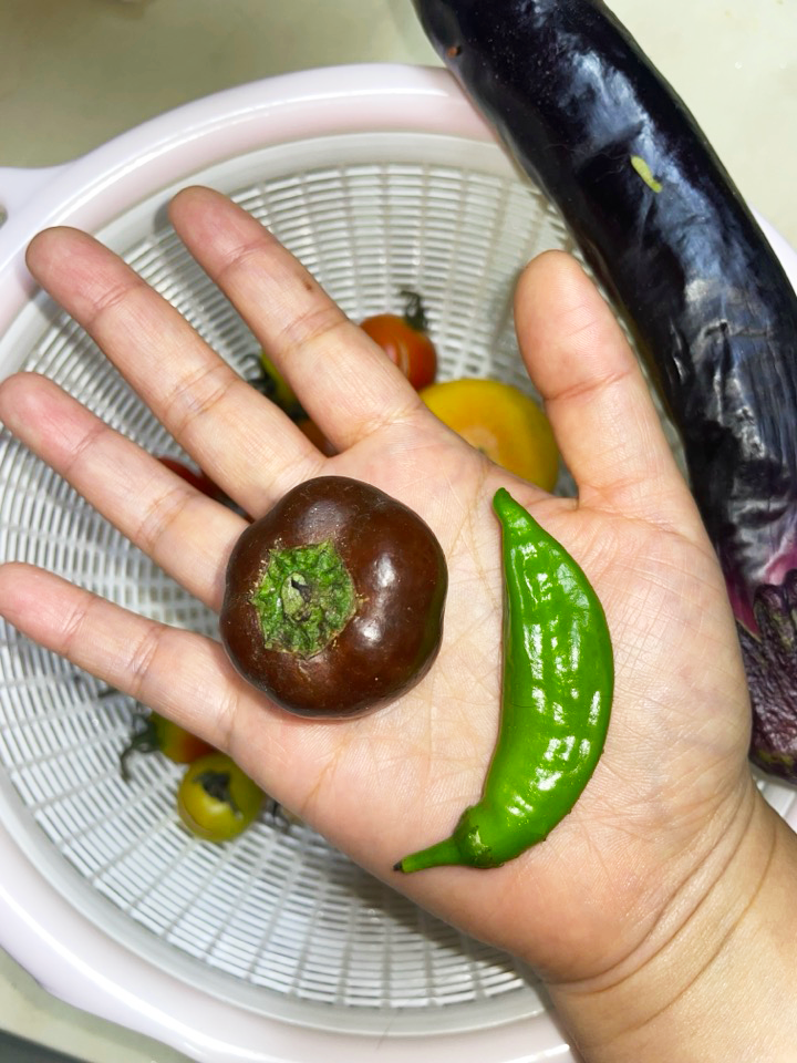 벨 페퍼