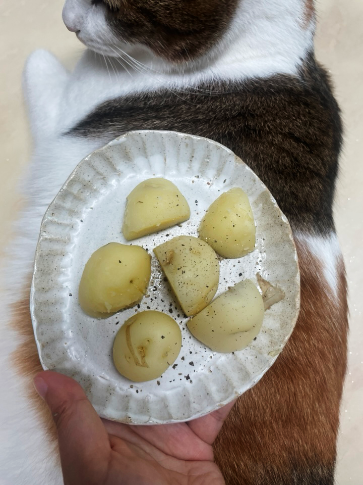 찐 감자