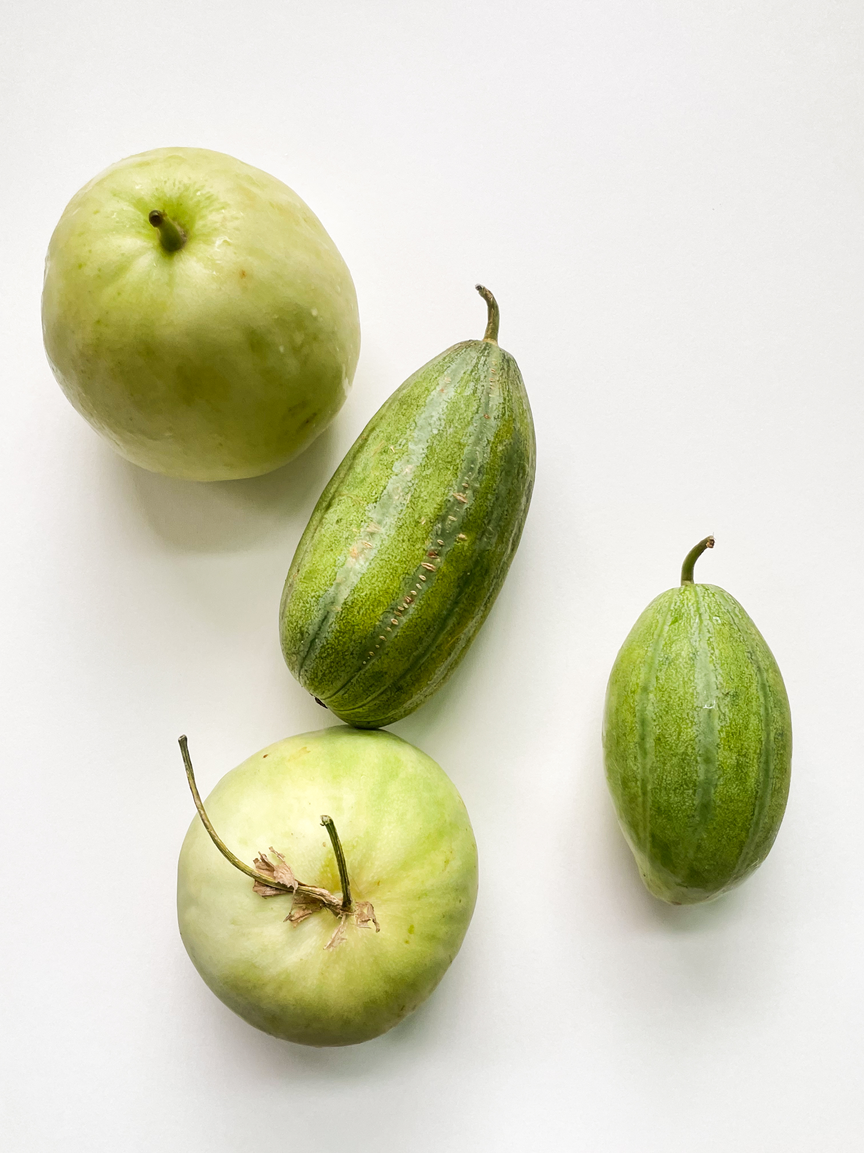 melon